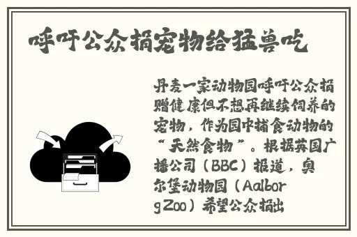 逃脱~孕妇精灵与森之馆游戏预告